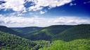 A view overlooking the Canyon Vista in Worlds End State Park, Sullivan County.