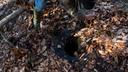 An abandoned well is seen on the property of Cheryl and Joe Thomas in Duke Center, Pennsylvania. 