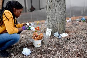 A woman cleans up the Black Lives Matter memorial at the Dr. Martin Luther King Jr. Plaza in downtown State College.